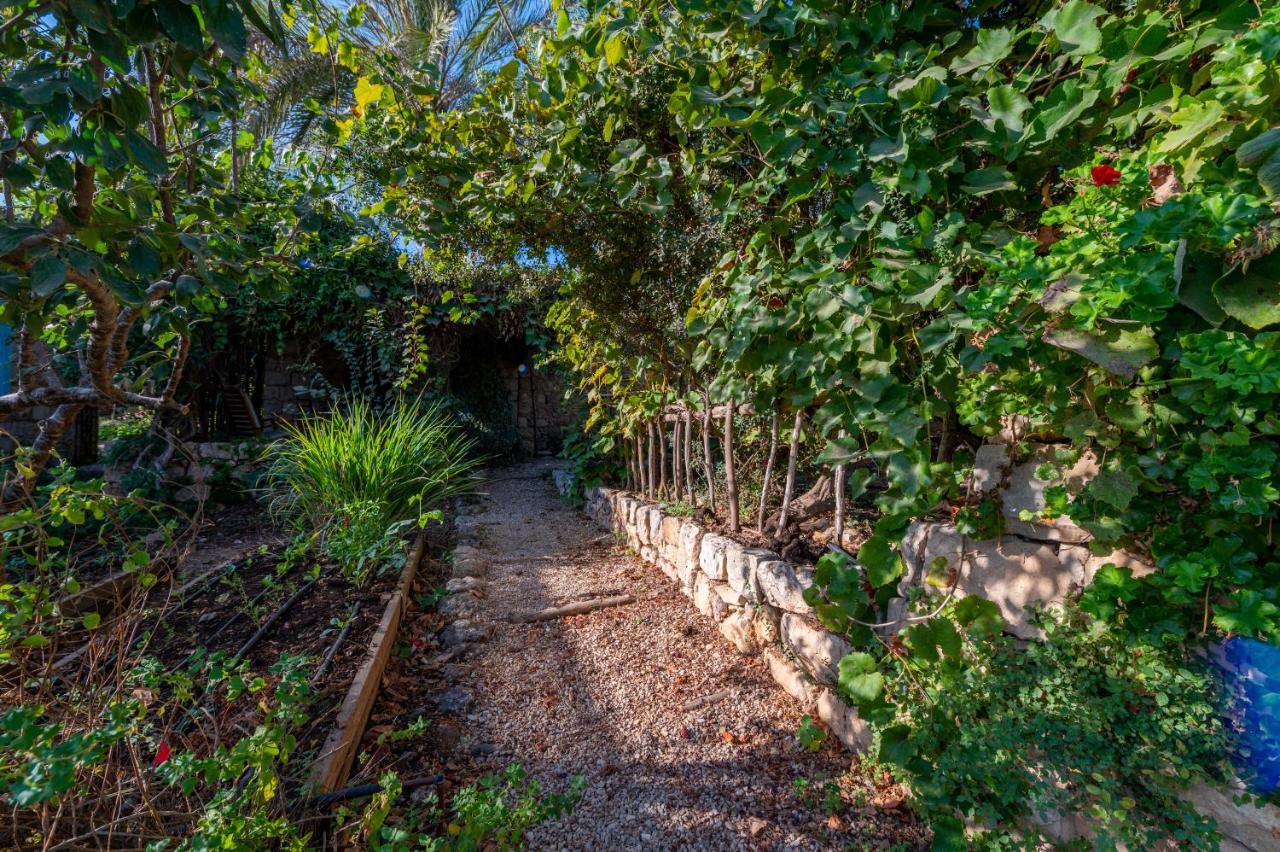 Hemdatya Stone Suites In The Galilee Ilaniya Exterior photo