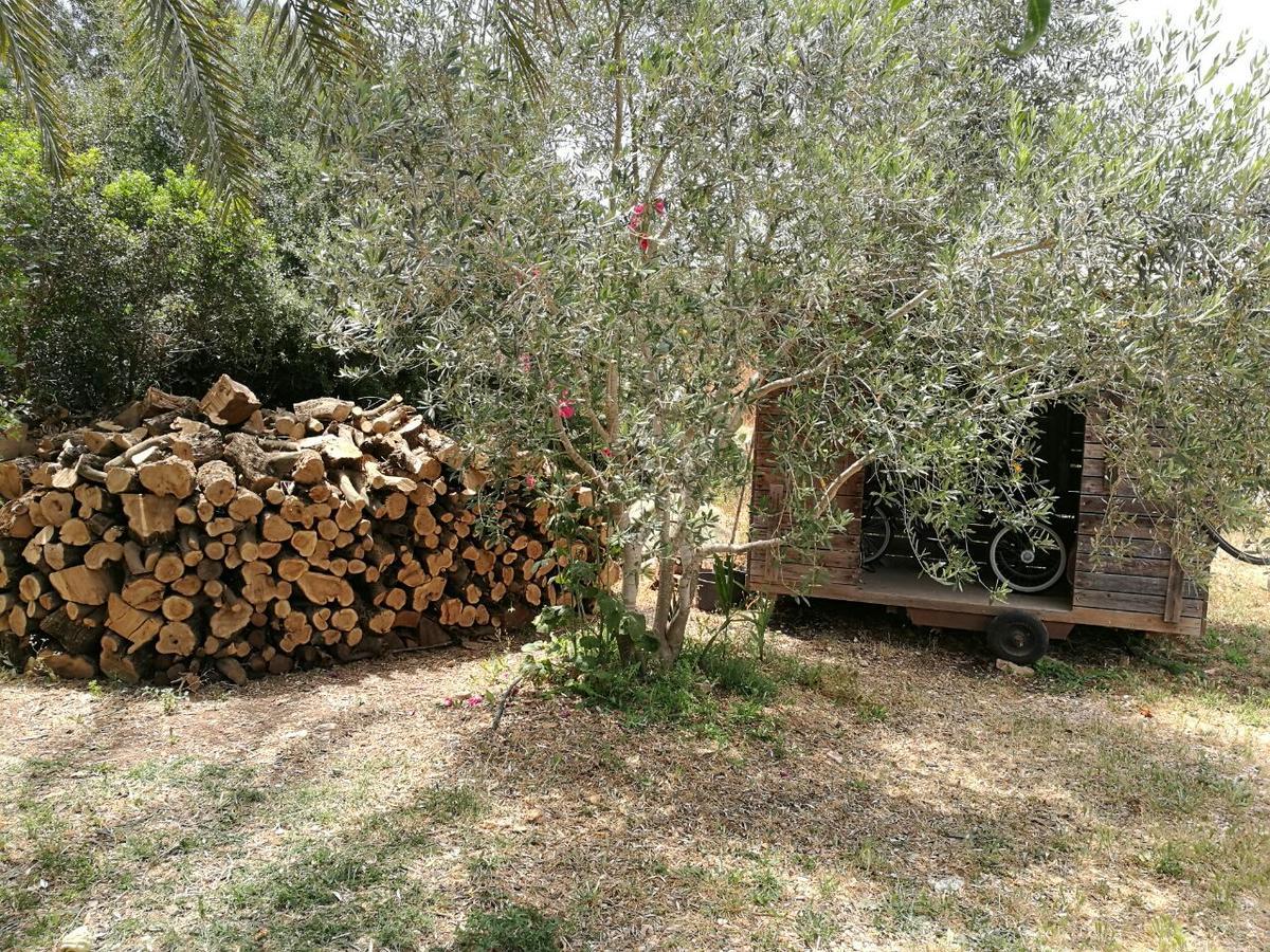 Hemdatya Stone Suites In The Galilee Ilaniya Exterior photo